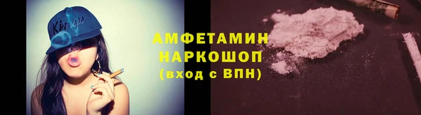 тгк Дмитров
