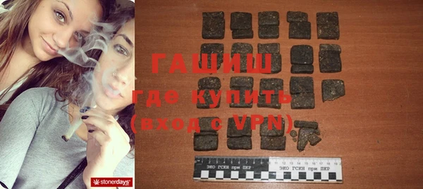 гашик Гусь-Хрустальный