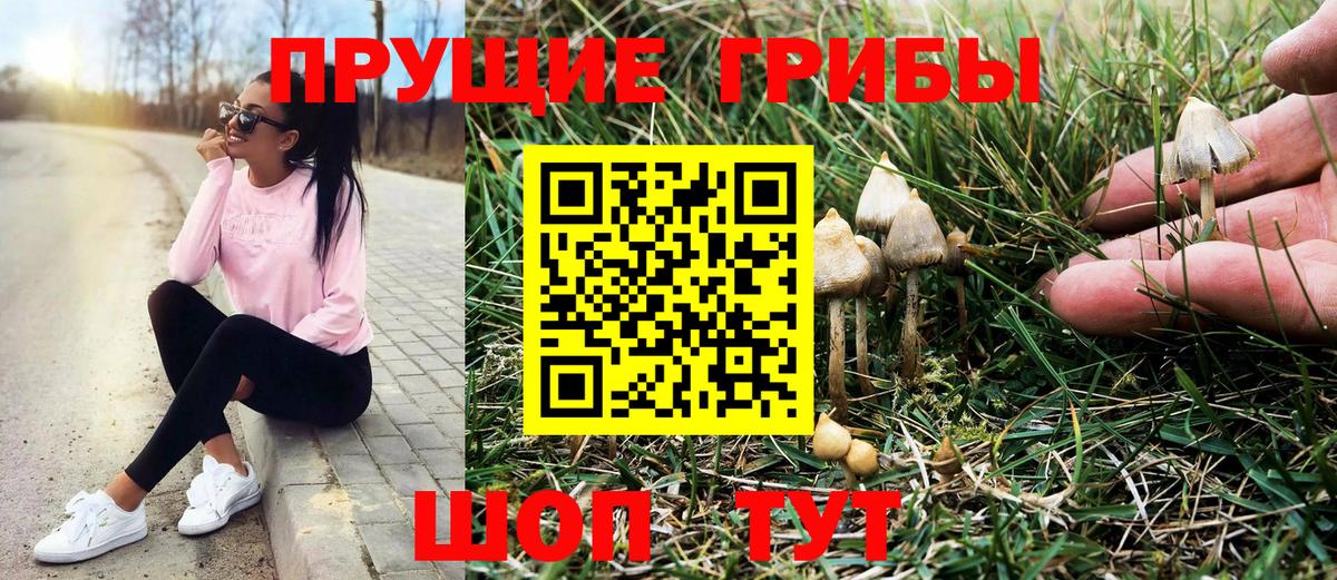 Галлюциногенные грибы Cubensis Краснодар