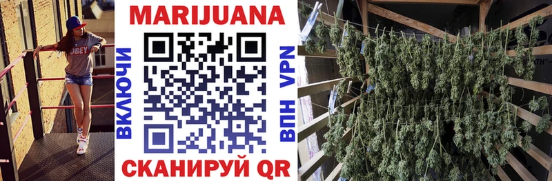 Канабис OG Kush Краснодар
